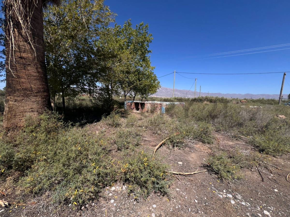 Campo en Venta en Pocito, San Juan