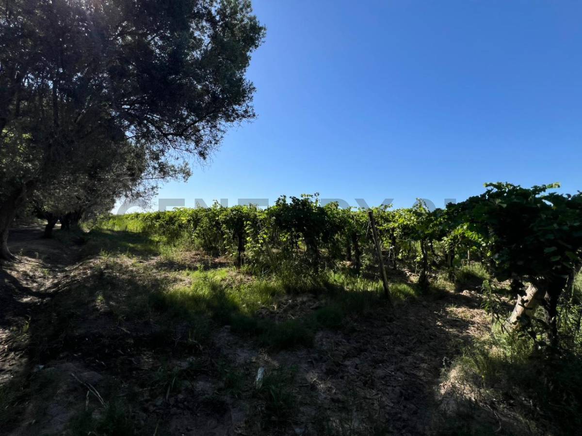 Campo en Venta en 25 de Mayo, San Juan