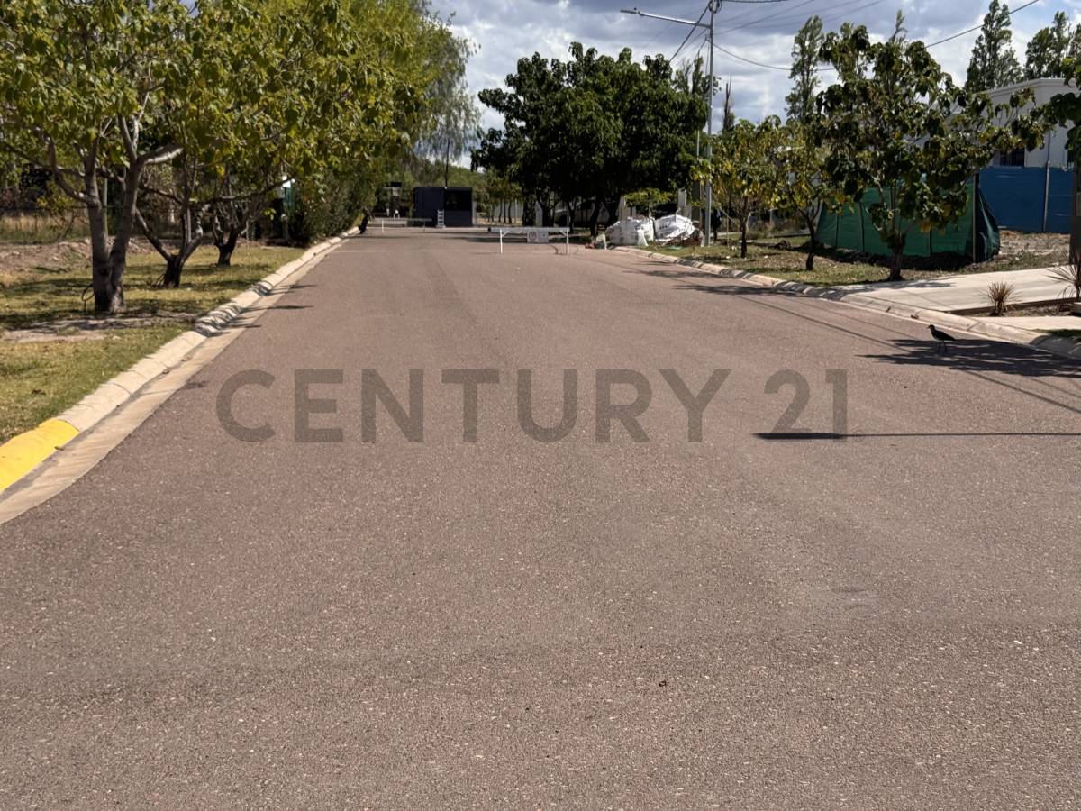 Terreno en Venta en Lujan de Cuyo, Mendoza