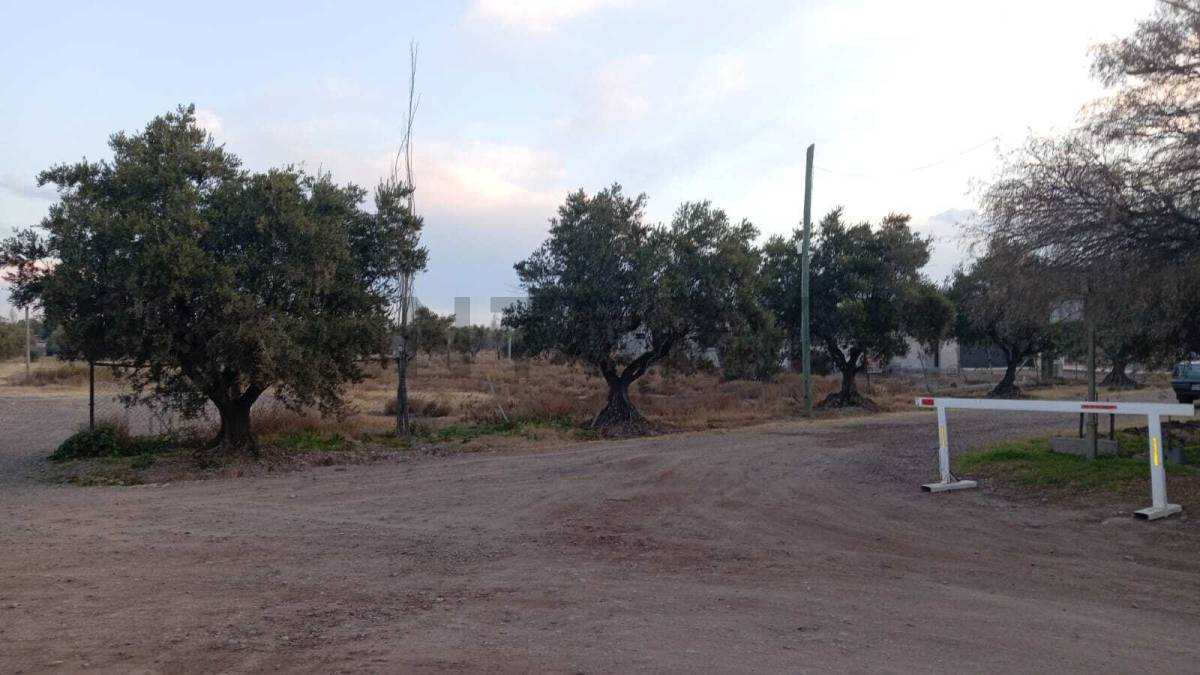 Terreno en Venta en Lujan de Cuyo, Mendoza