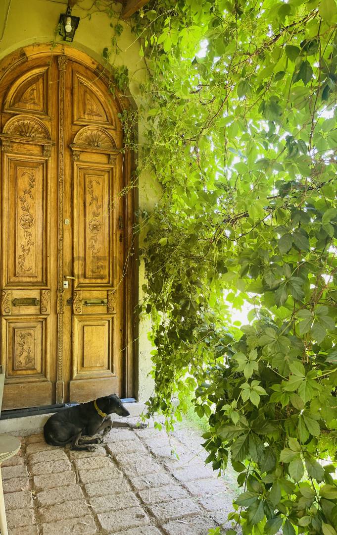 Terreno en Venta en Lavalle, Mendoza