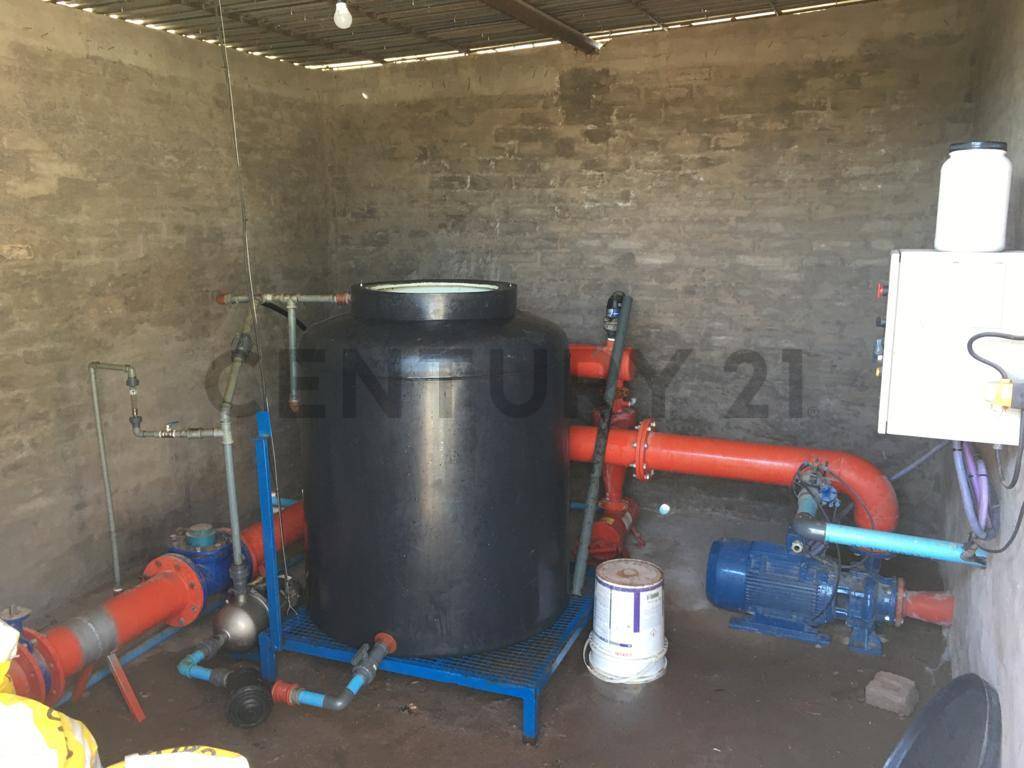 Terreno en Venta en Lavalle, Mendoza