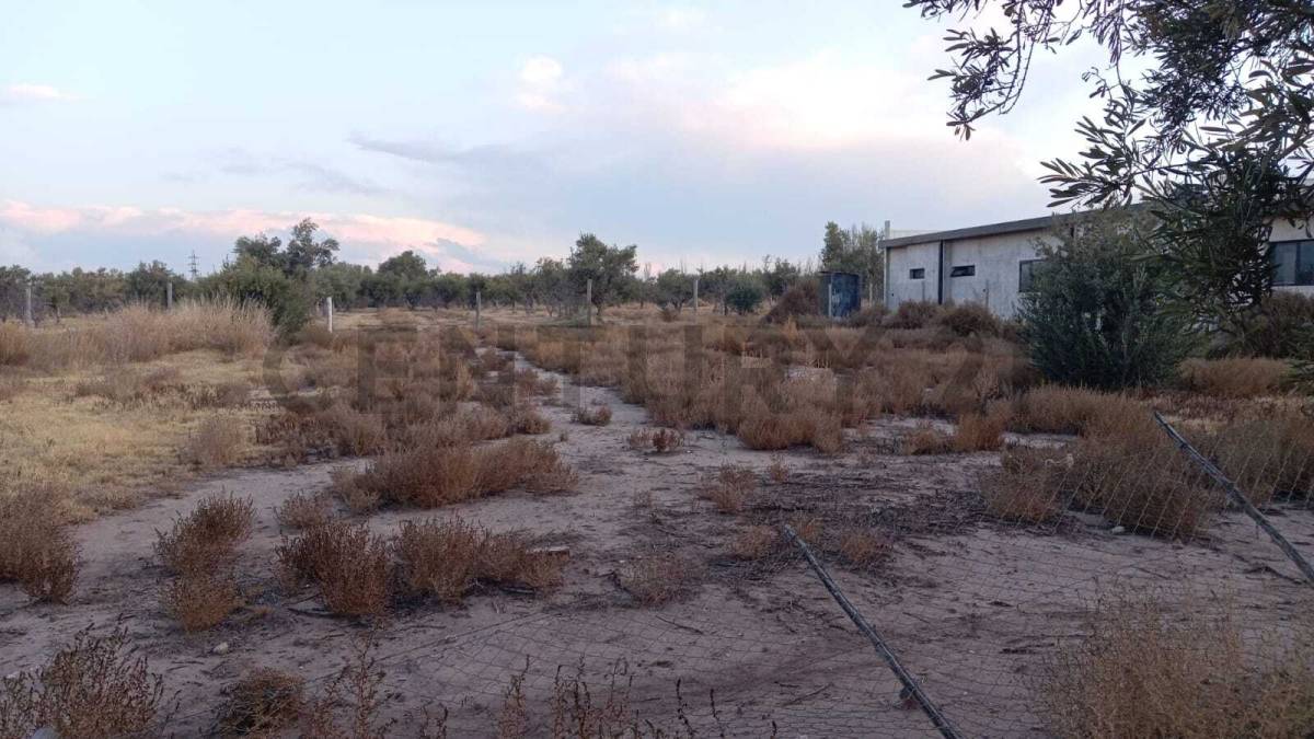 Terreno en Venta en Lujan de Cuyo, Mendoza