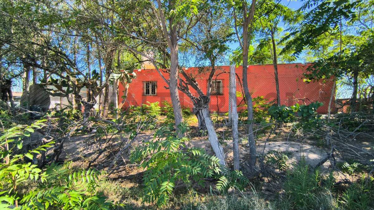 Campo en Venta en San Martin, Mendoza