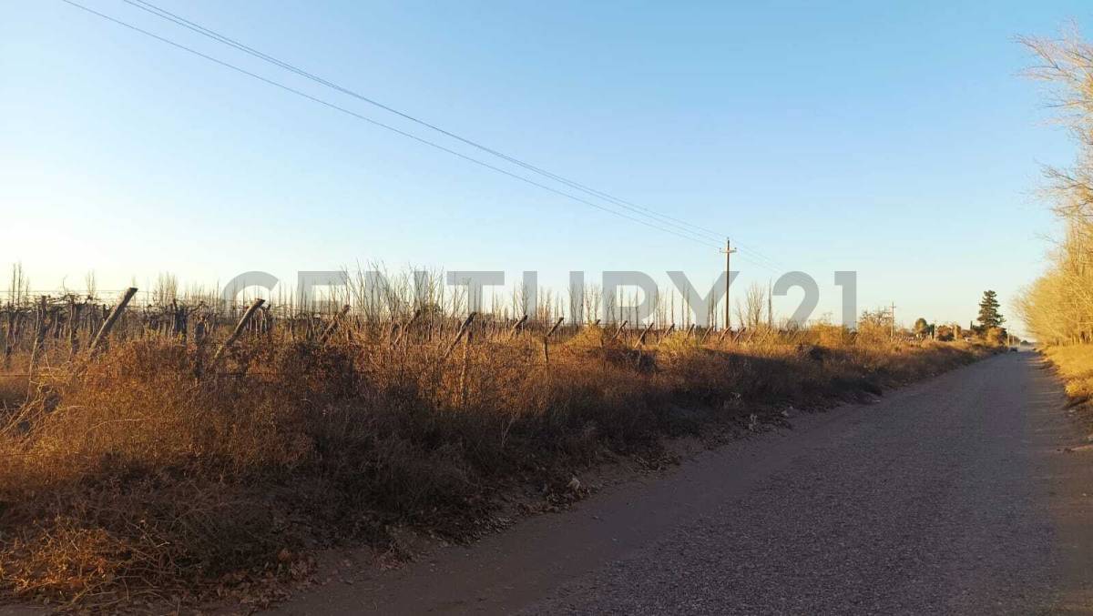 Campo en Venta en San Martin, Mendoza
