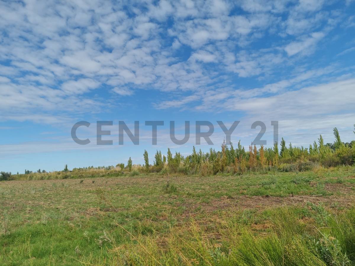 Terreno en Venta en San Rafael, Mendoza