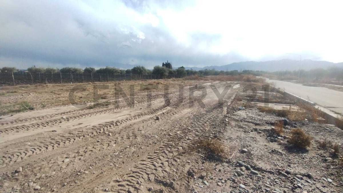 Terreno en Venta en Lujan de Cuyo, Mendoza