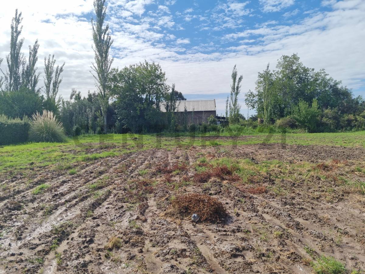 Terreno en Venta en San Rafael, Mendoza