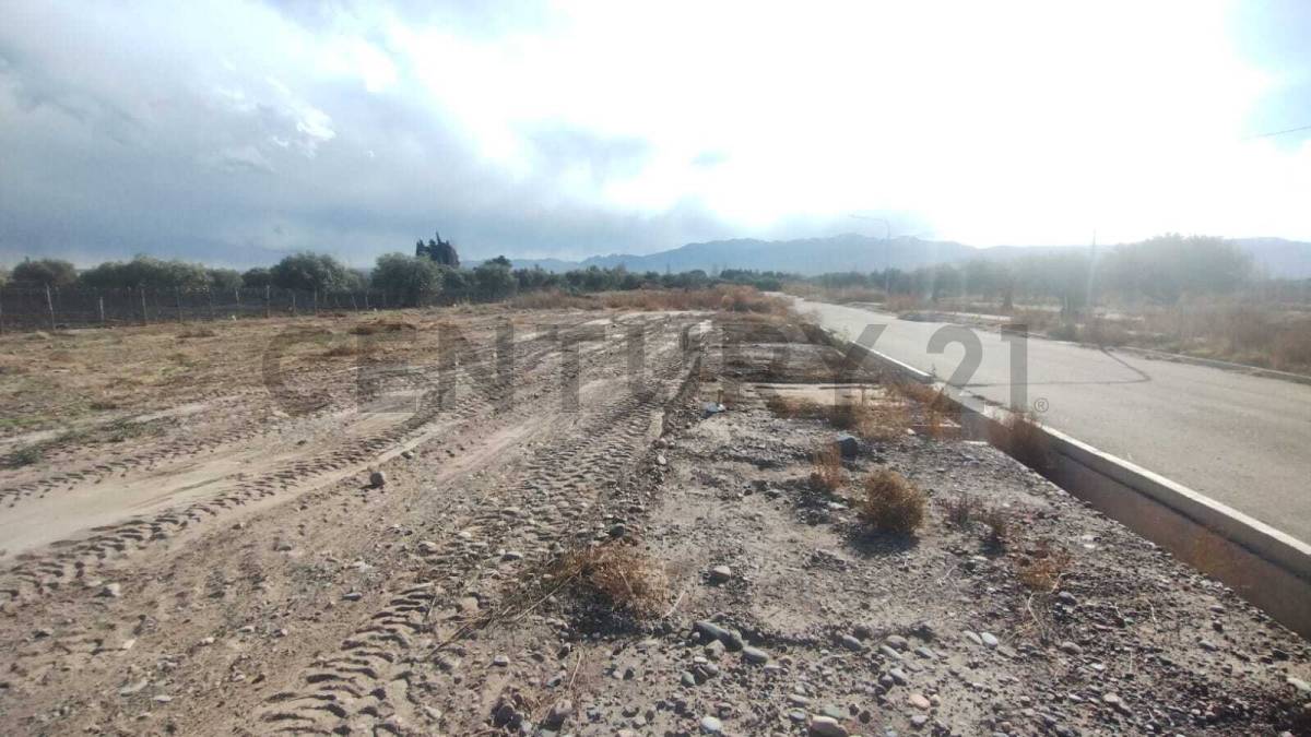 Terreno en Venta en Lujan de Cuyo, Mendoza