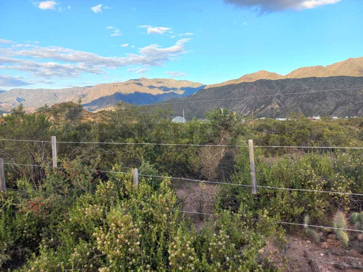 Terreno en Venta en Lujan de Cuyo, Mendoza