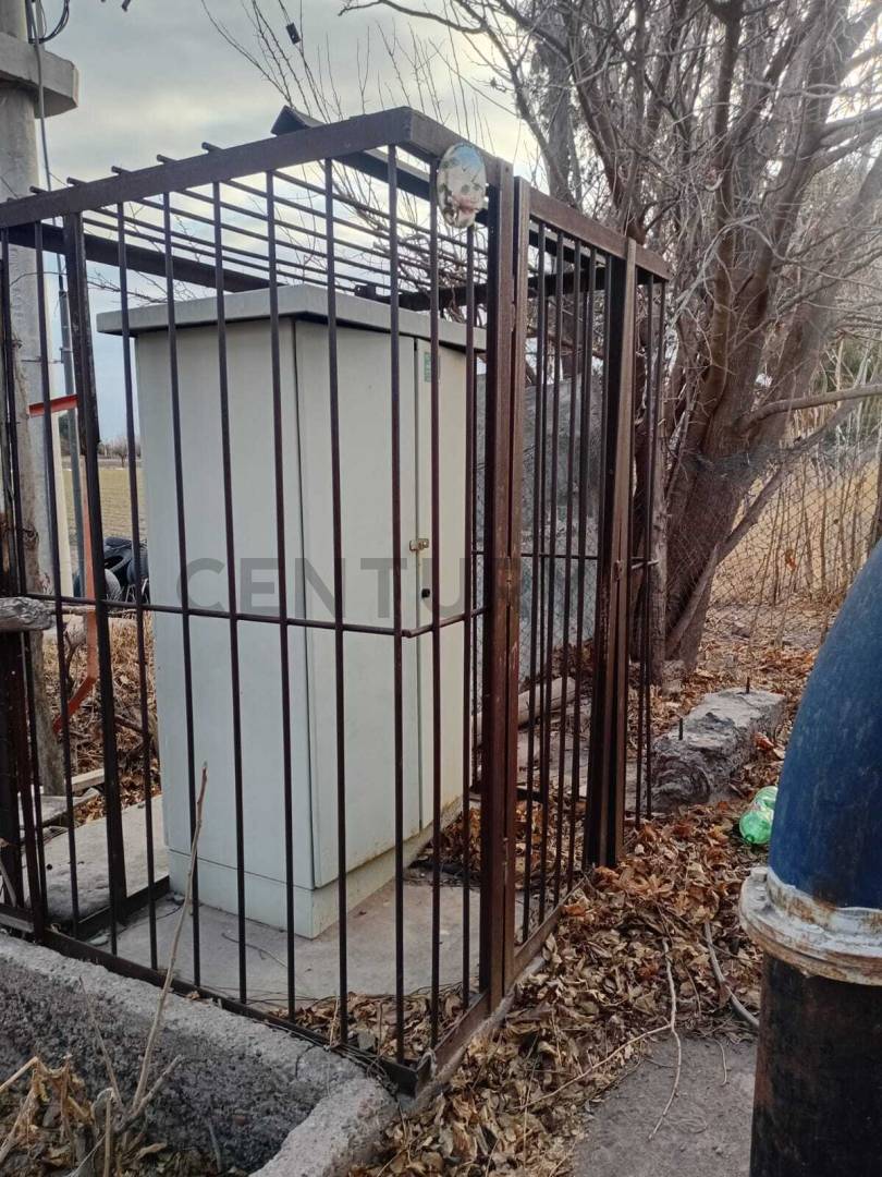 Campo en Venta en San Martin, Mendoza