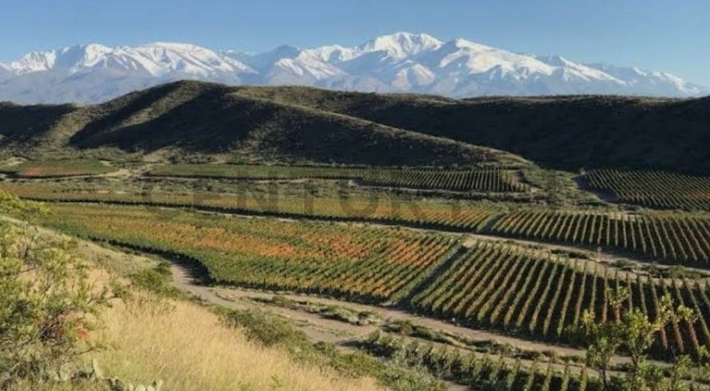 Campo en Venta en Tupungato, Mendoza