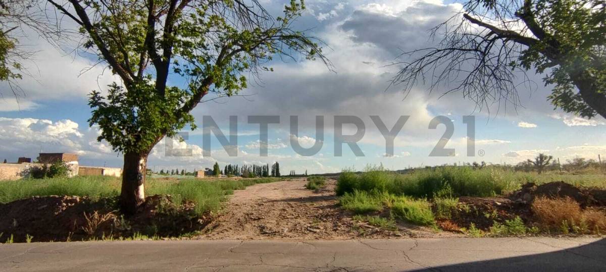 Terreno en Venta en Maipu, Mendoza