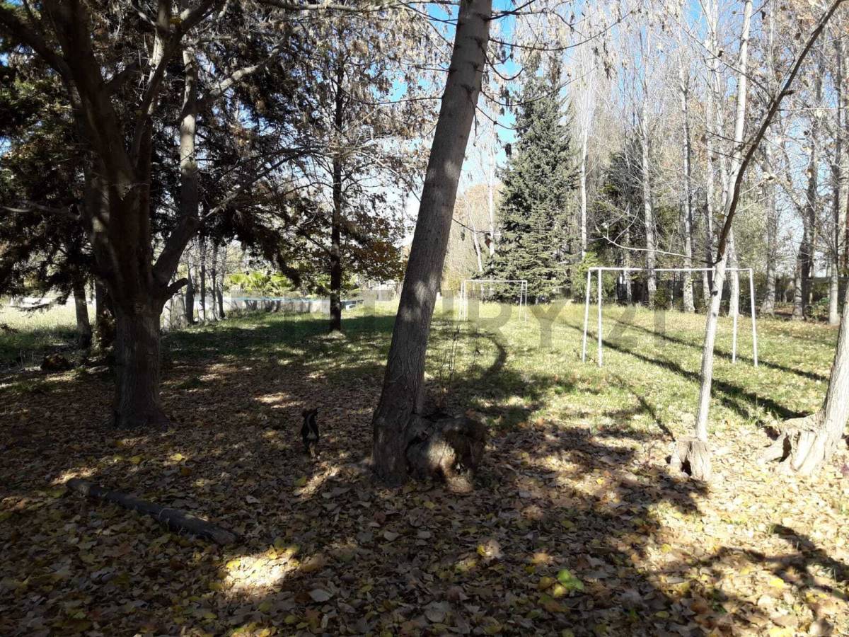 Campo en Venta en Lujan de Cuyo, Mendoza