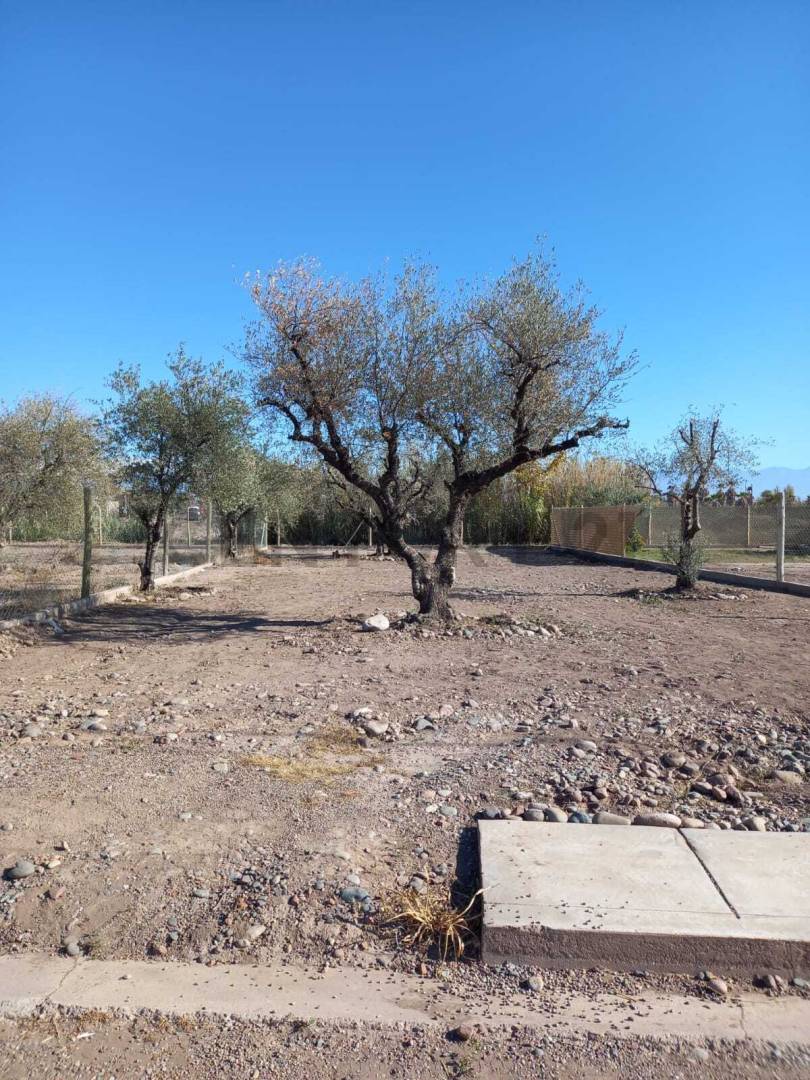 Terreno en Venta en Maipu, Mendoza