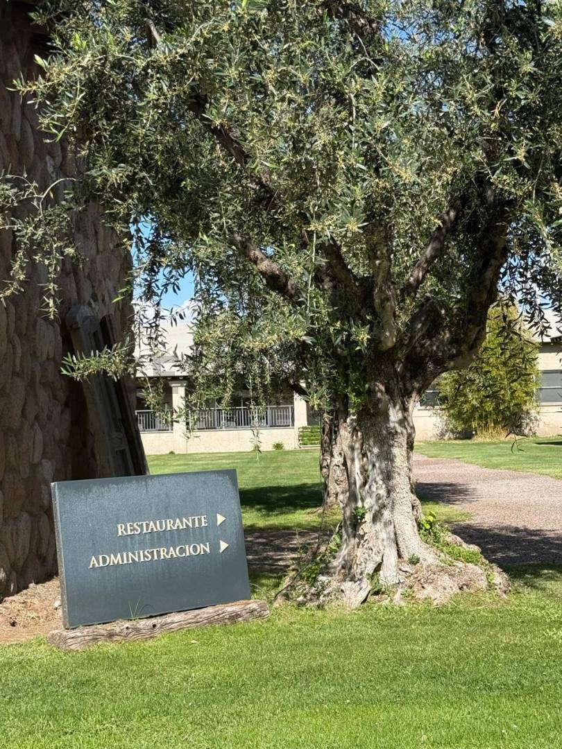 Terreno en Venta en Lujan de Cuyo, Mendoza