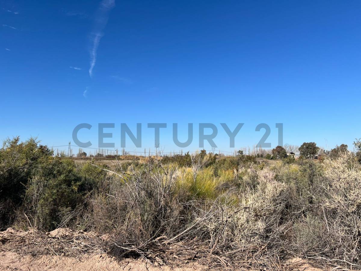 Terreno en Venta en Junin, Mendoza