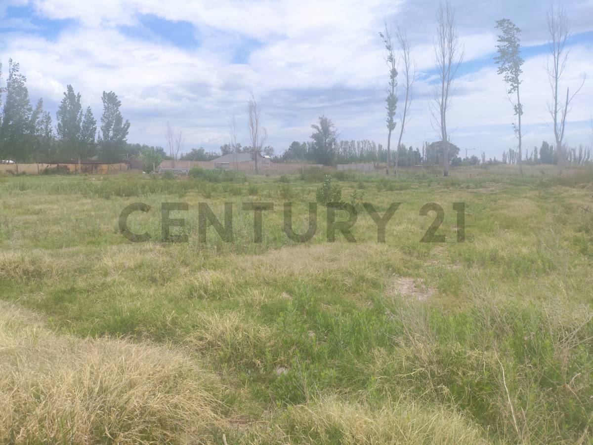 Terreno en Venta en Guaymallen, Mendoza