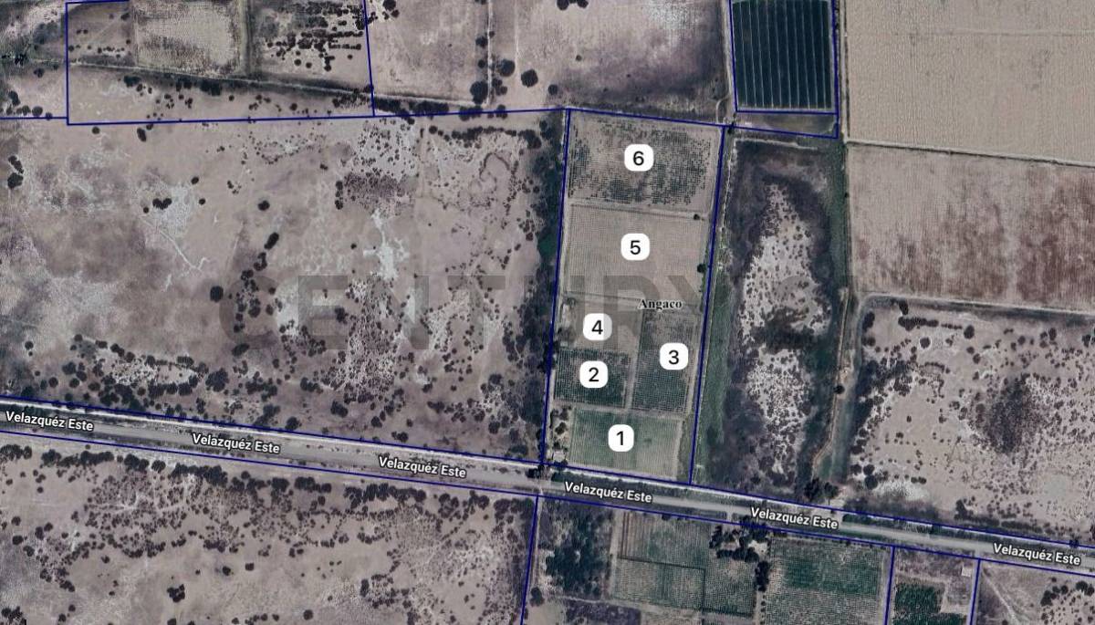Campo en Venta en Angaco, San Juan