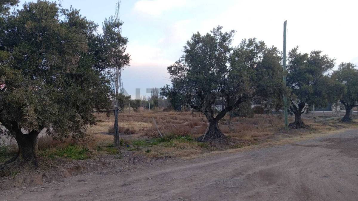 Terreno en Venta en Lujan de Cuyo, Mendoza