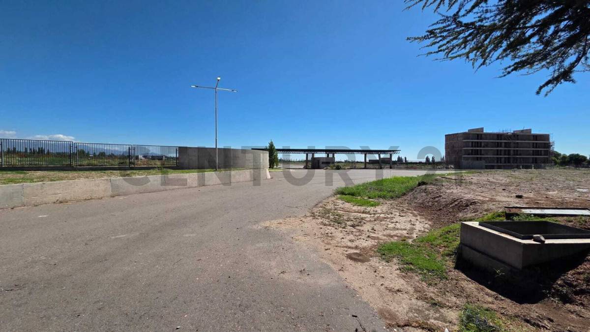 Terreno en Venta en Lujan de Cuyo, Mendoza