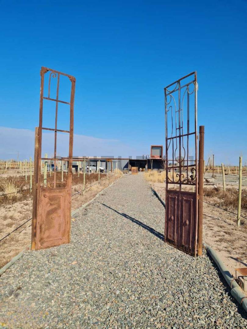 Campo en Venta en Lavalle, Mendoza