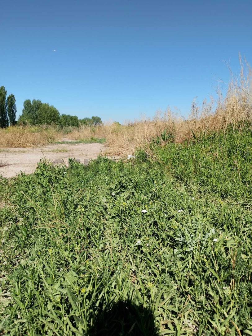 Terreno en Venta en Maipu, Mendoza
