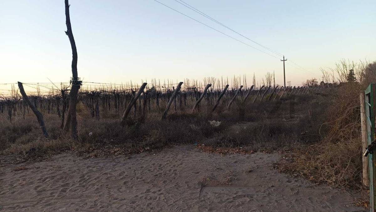 Campo en Venta en San Martin, Mendoza