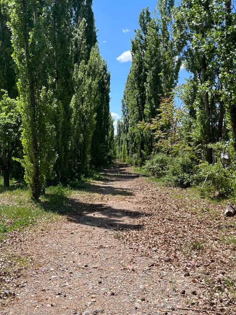 Campo en Venta en Tunuyan, Mendoza