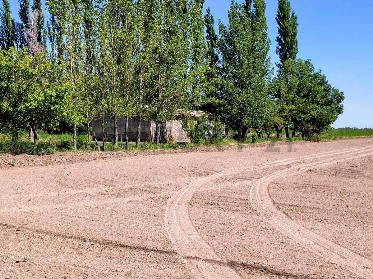 Campo en Venta en San Martin, Mendoza