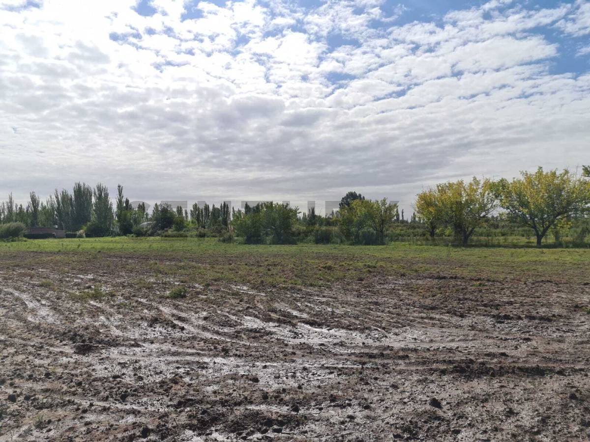 Terreno en Venta en San Rafael, Mendoza