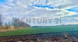 Campo en Venta en Tunuyan, Mendoza