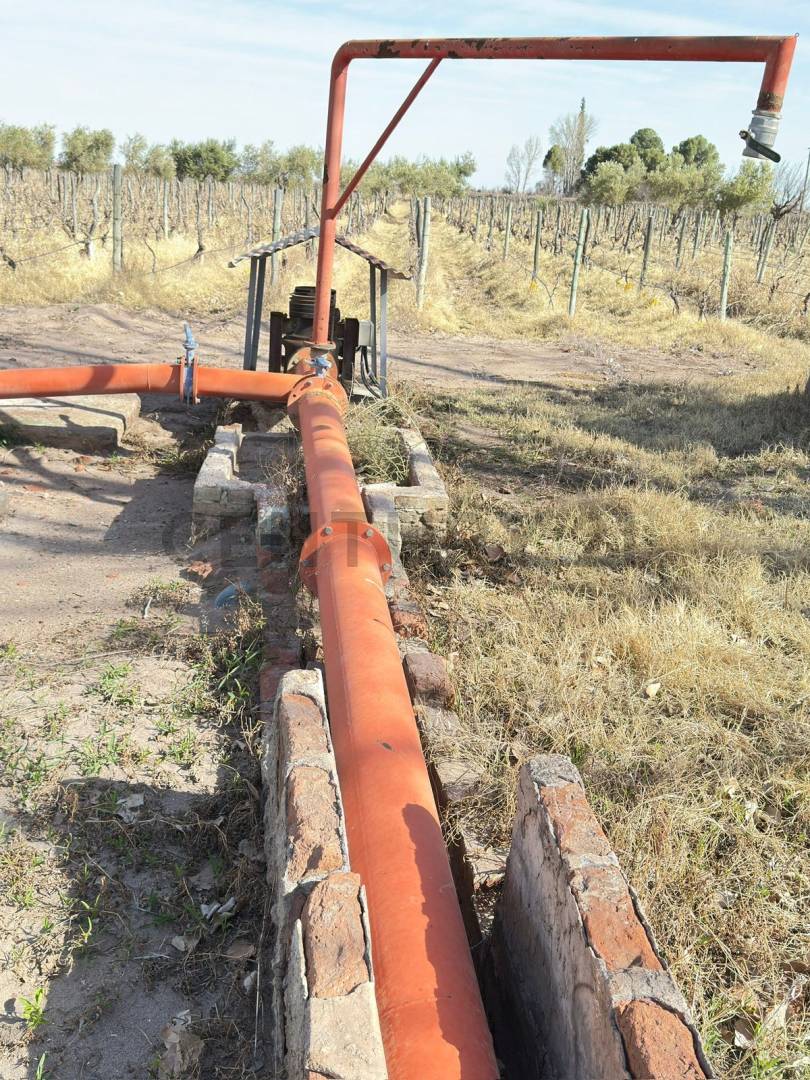 Terreno en Venta en Lavalle, Mendoza
