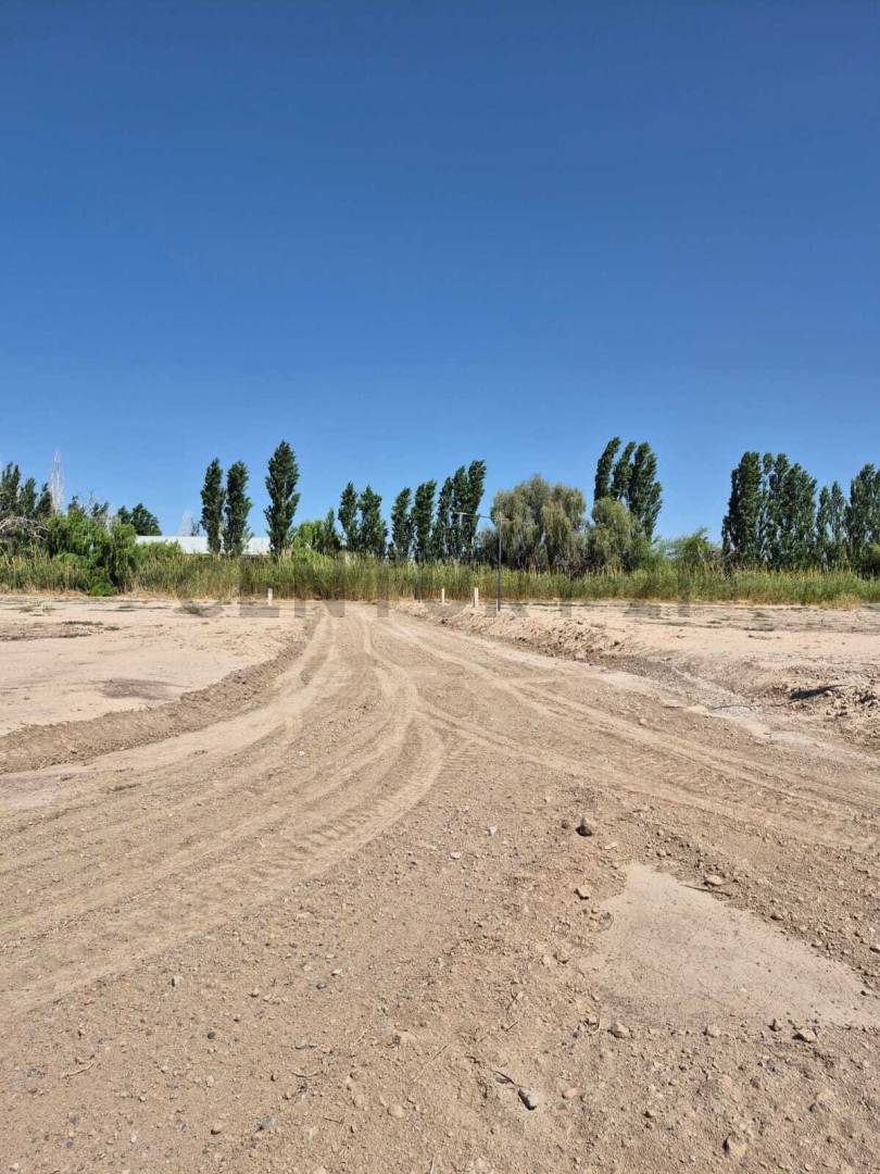 Terreno en Venta en Rivadavia, San Juan