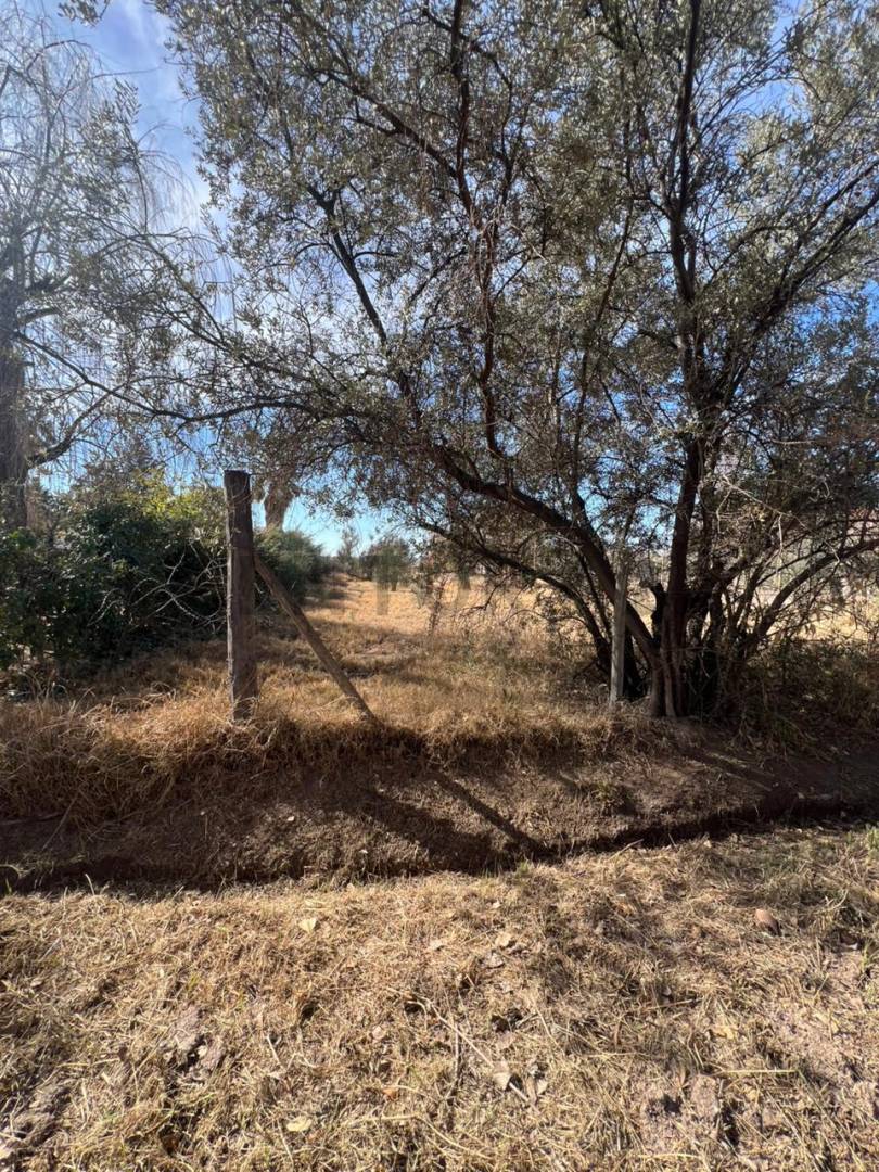 Terreno en Venta en Lujan de Cuyo, Mendoza