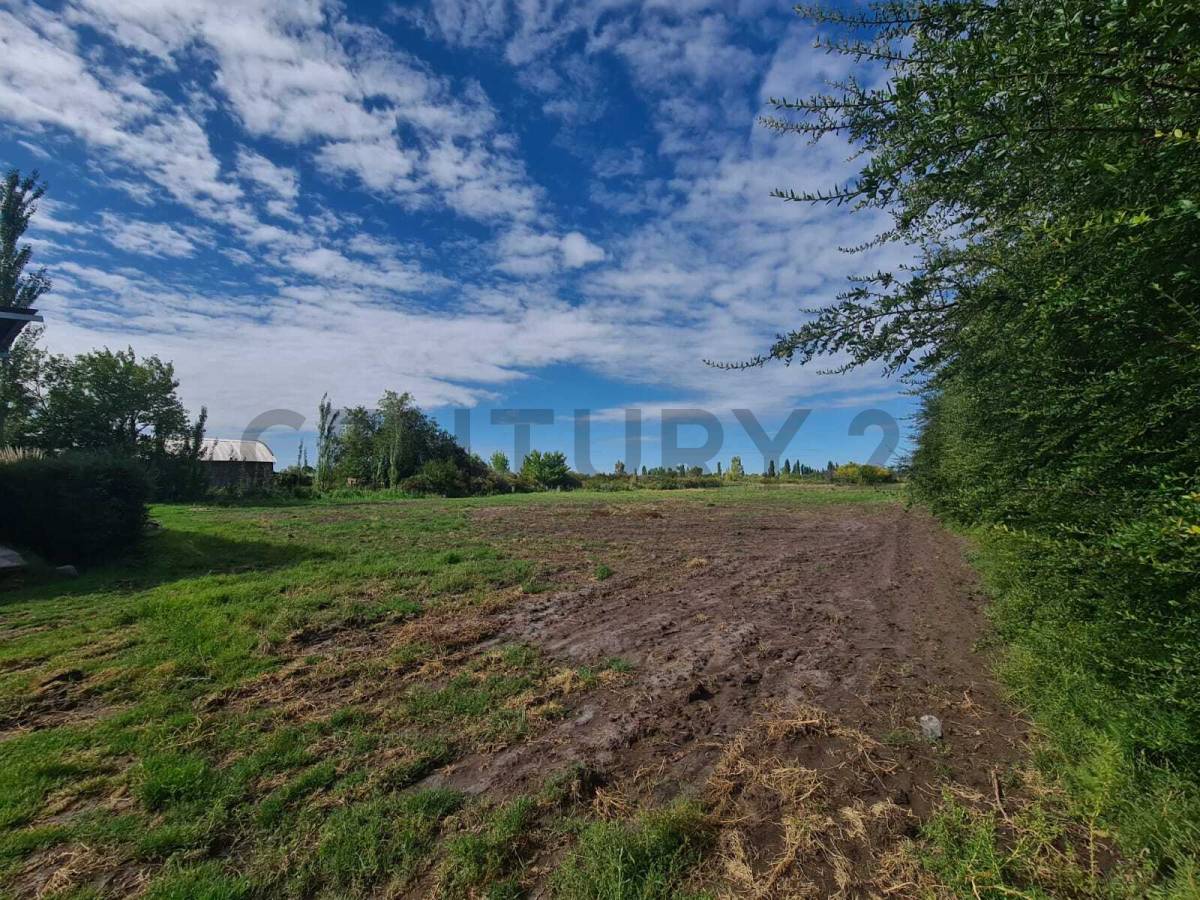 Terreno en Venta en San Rafael, Mendoza