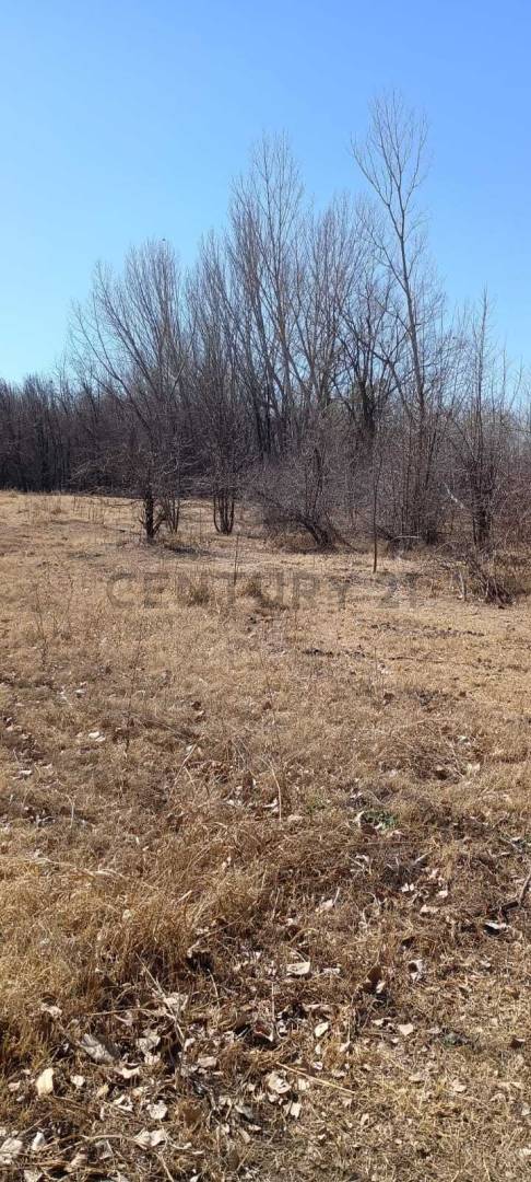 Terreno en Venta en Tunuyan, Mendoza