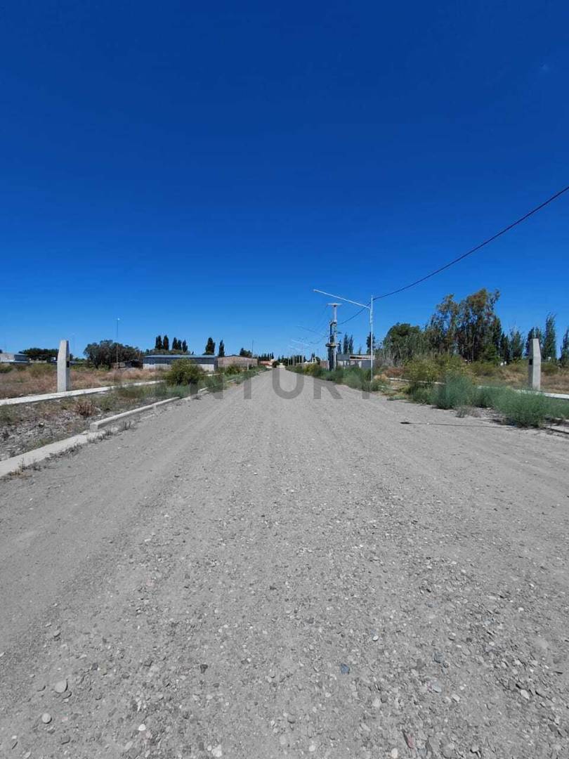 Terreno en Venta en Rivadavia, Mendoza