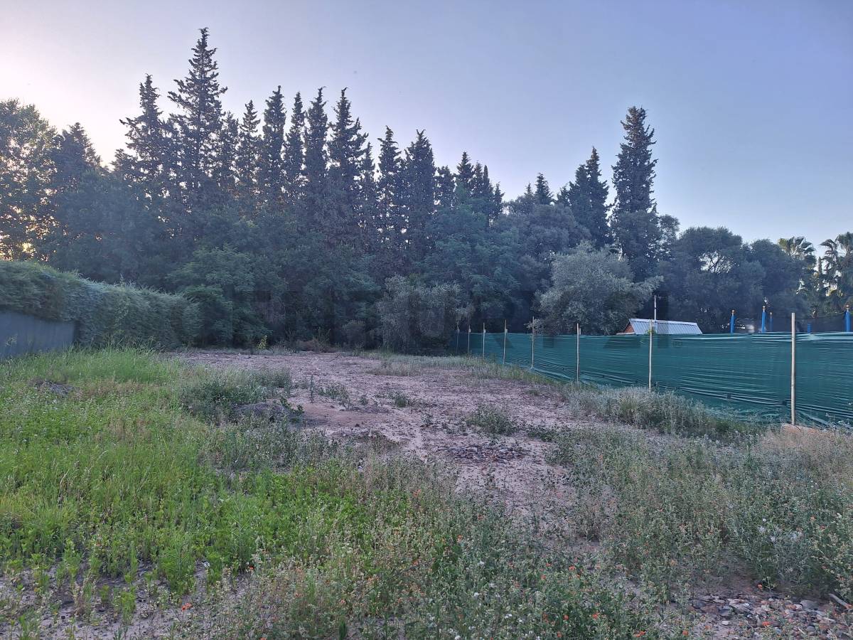 Terreno en Venta en Maipu, Mendoza