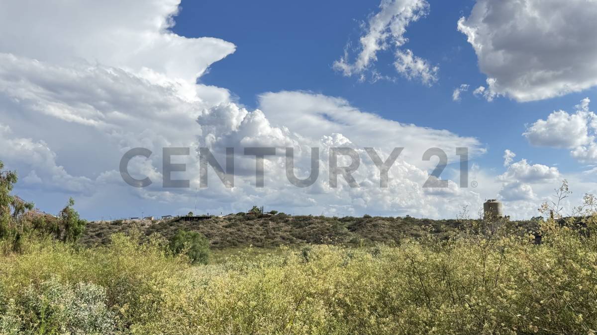 Terreno en Venta en Lujan de Cuyo, Mendoza