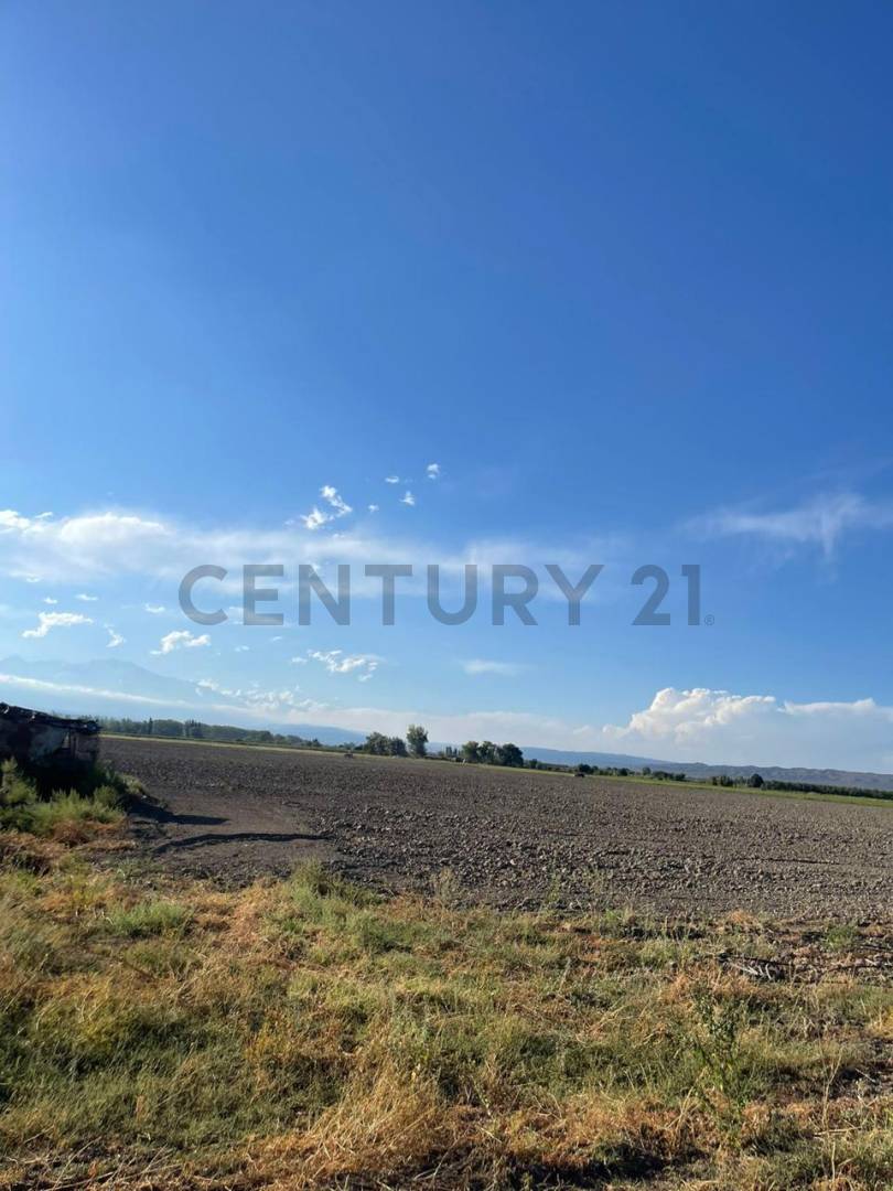 Casa Quinta en Venta en Tupungato, Mendoza