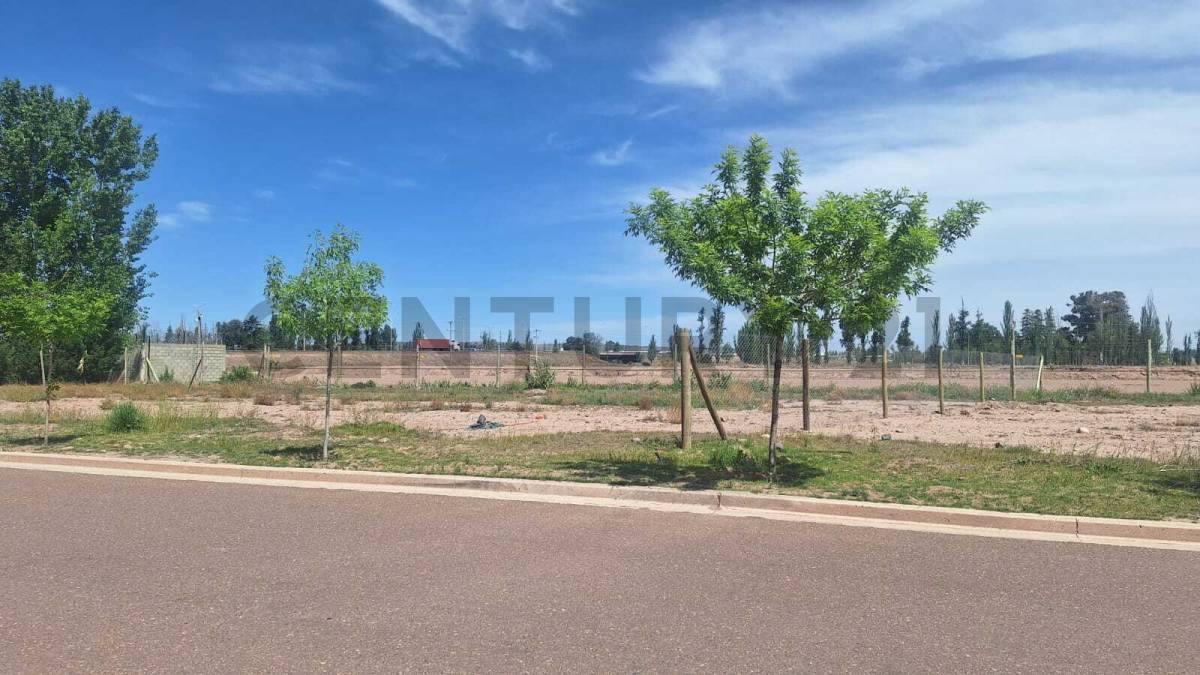 Terreno en Venta en Lujan de Cuyo, Mendoza