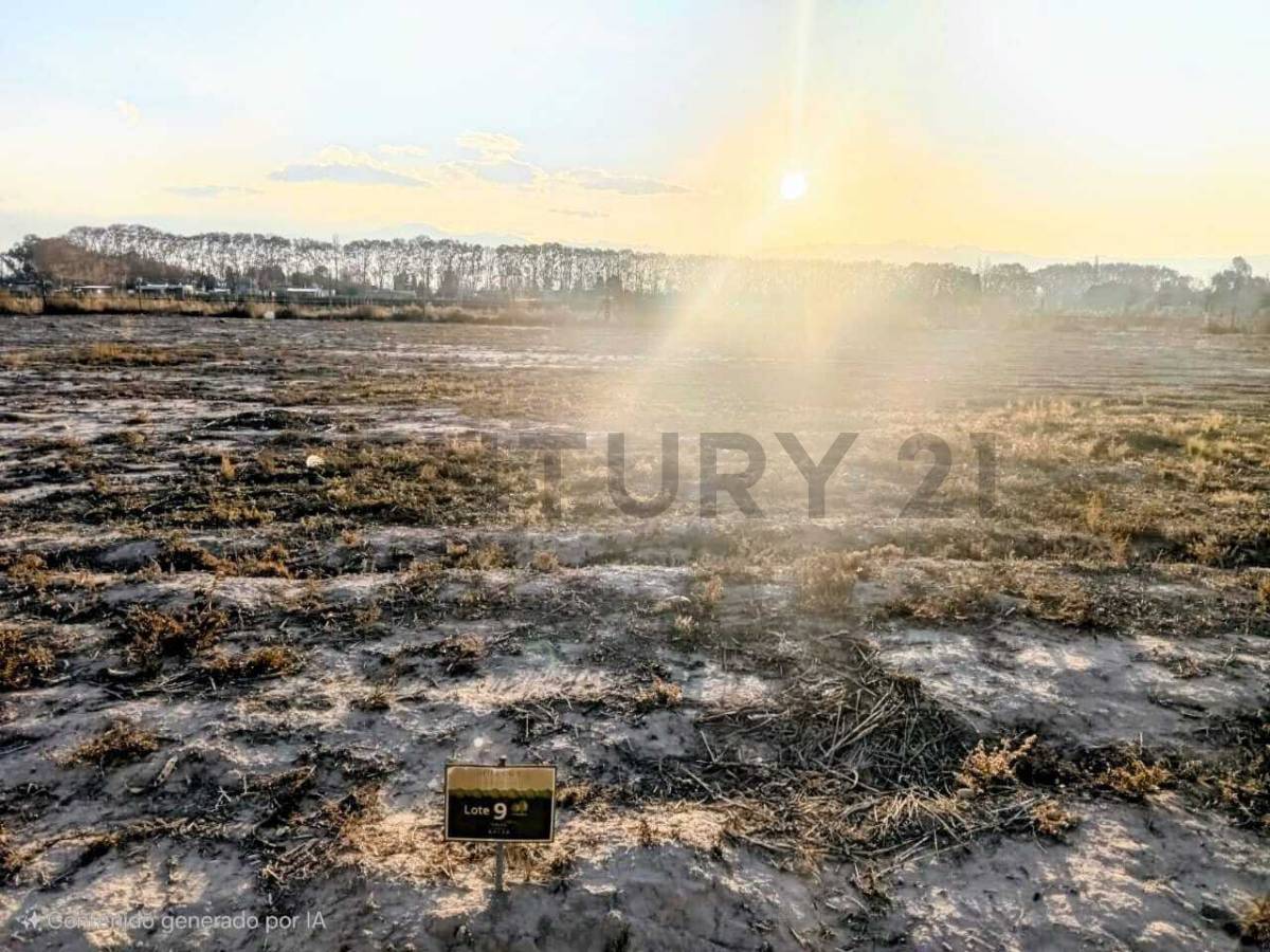 Terreno en Venta en Lujan de Cuyo, Mendoza