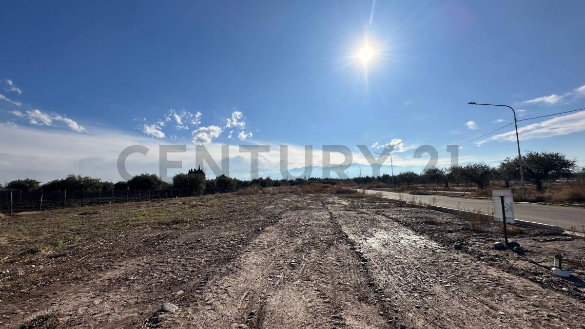 Terreno en Venta en Lujan de Cuyo, Mendoza
