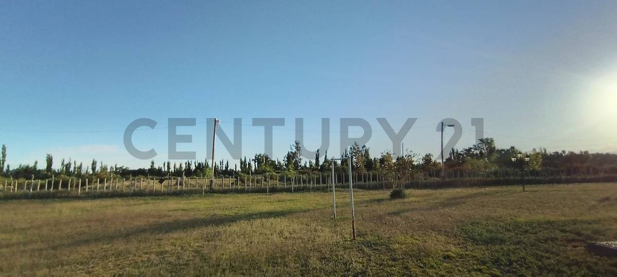 Casa Quinta en Venta en Lavalle, Mendoza