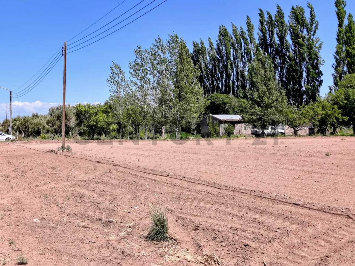 Campo en Venta en San Martin, Mendoza