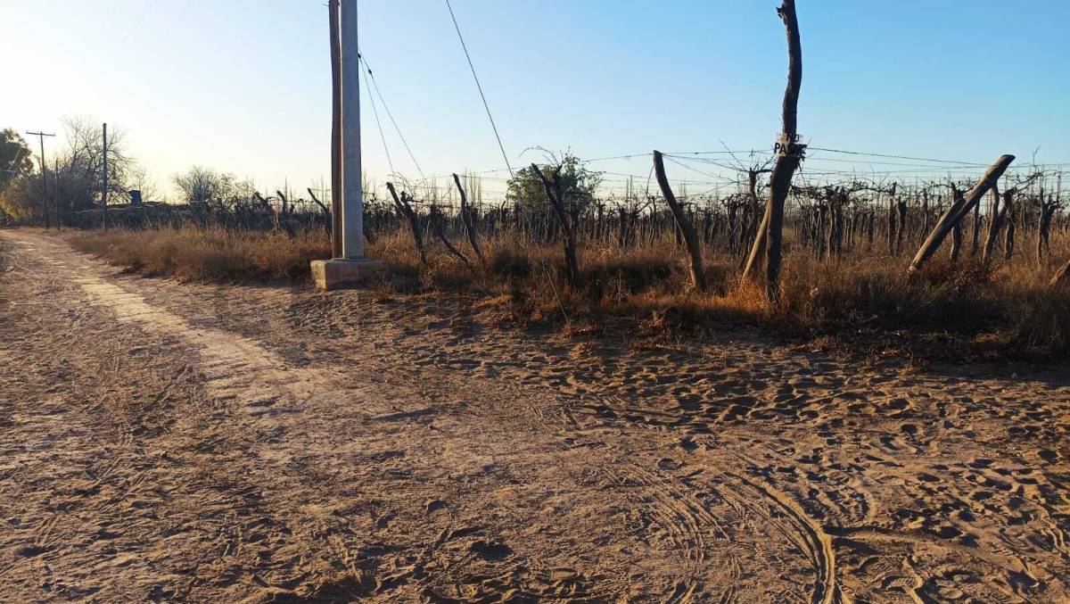 Campo en Venta en San Martin, Mendoza