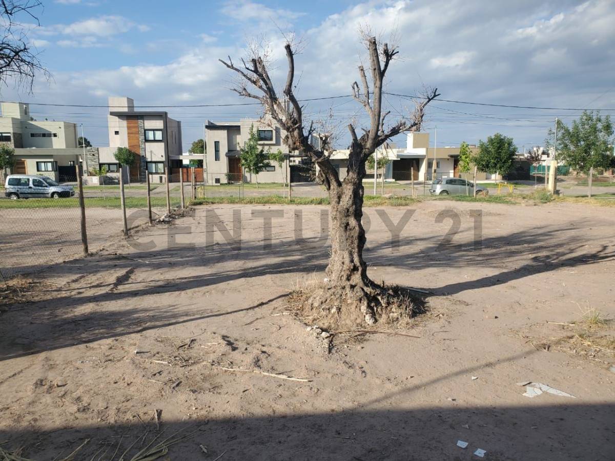 Terreno en Venta en Maipu, Mendoza