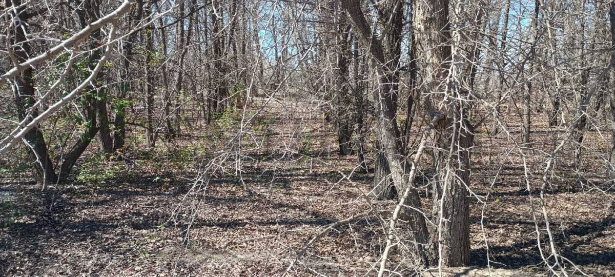 Terreno en Venta en Tunuyan, Mendoza