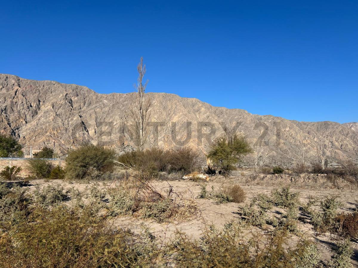 Terreno en Venta en Zonda, San Juan